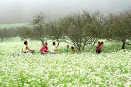 Tái hiện lễ cấp sắc của người Sán Dìu tại Hà Nội