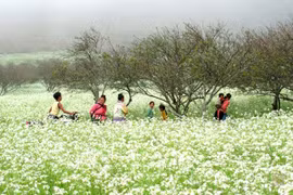 Tái hiện lễ cấp sắc của người Sán Dìu tại Hà Nội