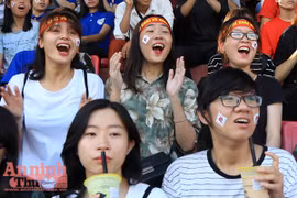 Khoảnh khắc các cổ động viên - nữ sinh hút hồn trên sân Hàng Đẫy