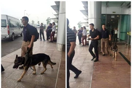 Điều ít biết về những chú chó nghiệp vụ Mỹ đi theo bảo vệ Tổng thống Mỹ