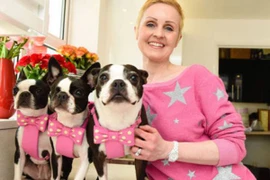 Anh: Người phụ nữ tiêu 27.000USD một năm "nuông chiều" ba chú chó cưng