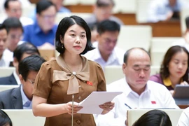 Đại biểu Quốc hội: Cần nghiêm cấm người dân lập chốt thu phí trên các tuyến đường