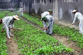 Bộ Công an đề xuất phạm nhân dưới 18 tuổi được gọi điện thoại có hình ảnh với người thân