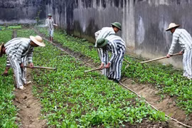 Bộ Công an nêu lý do sửa hàng loạt quy định về thi hành án hình sự