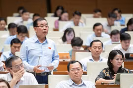Đại biểu Quốc hội đề nghị làm rõ quyền sở hữu, khai thác không gian ngầm