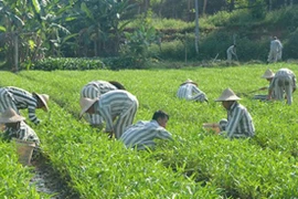 Đề xuất mới nhất của Bộ Công an về các trường hợp hoãn thi hành án tử hình