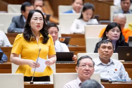 'Giá nhà đất liên tục tăng cao ở tất cả các phân khúc là vô lý và bất thường'