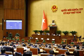 Đại biểu Quốc hội biểu quyết thông qua Luật Phòng, chống mua bán người (sửa đổi)