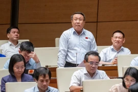 Đại biểu Quốc hội đề nghị giảm thuế VAT cho tất cả các mặt hàng xuống 8%