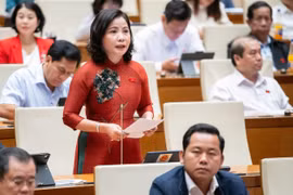 ĐBQH: Cần xử lý nghiêm cơ sở sản xuất, mua bán xe đạp điện kém chất lượng