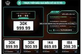 Hàng loạt quy định mới có hiệu lực từ tháng 1-2025