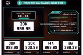 Hàng loạt quy định mới có hiệu lực từ tháng 1-2025