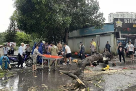 Cây xanh gãy đổ do bão Yagi đè chết người, làm hỏng xe ô tô: Ai phải bồi thường?