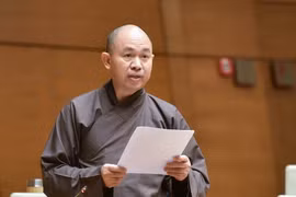 Đại biểu Quốc hội đề xuất chiến lược “hồi hương cổ vật” 