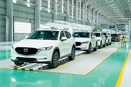 Cố tình trì hoãn đăng ký xe để chờ giảm 50% lệ phí trước bạ ô tô có bị phạt?