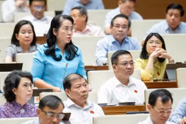  Dùng cát biển thay thế khi chưa đủ điều kiện là đánh cược với môi trường