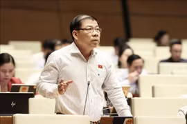 Đại biểu Quốc hội tranh luận về việc tách vụ án có người chưa thành niên phạm tội 