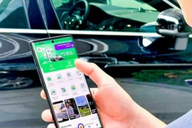 Hàng loạt trường hợp bị khóa tài khoản giao thông từ đầu tháng 10-2024