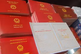 Dùng Bằng tốt nghiệp THPT giả học lên Thạc sỹ, Tiến sỹ có bị thu hồi toàn bộ bằng?