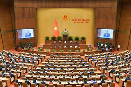 Đại biểu Quốc hội mặc niệm các chiến sĩ hy sinh, đồng bào tử nạn do thiên tai 