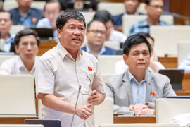 Đại biểu Quốc hội tranh luận sôi nổi về áp thuế VAT 5% với phân bón