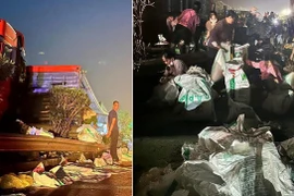 Vụ tai nạn ở cao tốc Nội Bài - Lào Cai: Cần làm rõ hành vi 'hôi của' để xử lý nghiêm