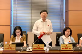 ĐBQH: Trong vụ án liên quan đến cả người thành niên và chưa thành niên thì nên tách vụ án