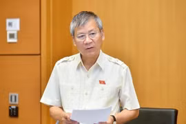 Đại biểu Quốc hội: "Cần có giải pháp chặn đứng việc giá đất nhảy múa, rất kỳ lạ"