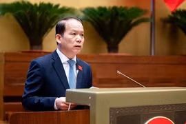 Đề nghị Chính phủ làm rõ việc Bộ trưởng chưa thực hiện đầy đủ trách nhiệm tiếp công dân