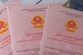 Quy định mới nhất về điều kiện, thủ tục, phí tách 'sổ đỏ' cho con