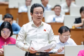 Đại biểu Quốc hội: Vẫn còn chồng chéo trong nội bộ hệ thống quy hoạch