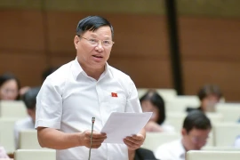 Đề xuất cấm xây nhà ở riêng lẻ trong khu vực bảo vệ I của di tích 