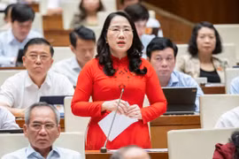 ĐBQH: Nhiều người tuy ‘thắt lưng, buộc bụng’ vẫn phải nộp thuế thu nhập