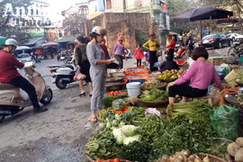 Chợ sớm đầu năm, rau củ quả đắt gấp đôi ngày thường