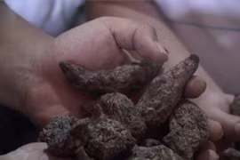 Khó khăn kiểm soát thị trường thuốc đông dược