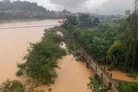 Hoa hậu Lương Thùy Linh: "Những ngày qua, tim tôi như thắt lại khi nhìn hình ảnh quê hương chìm trong lũ dữ"