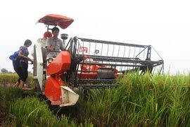 Cho vay nông nghiệp nông thôn hơn 646.700 tỷ đồng trong 3 năm