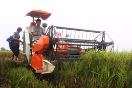 Cho vay nông nghiệp nông thôn hơn 646.700 tỷ đồng trong 3 năm