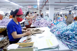 EVFTA: Cơ hội kỳ vọng cho Việt Nam