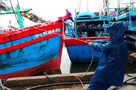 Bão số 9 hướng về Quảng Ngãi - Bình Định, tiến vào vùng biển Đà Nẵng - Phú Yên 