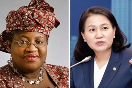Thế giằng co trong cuộc bầu cử Tổng Giám đốc WTO 