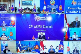 Thành tựu đối ngoại đa phương của Việt Nam là không thể phủ nhận 