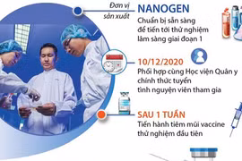 Quy trình thử nghiệm vaccine Covid-19 giai đoạn 1