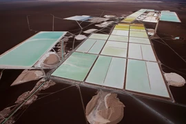 Châu Âu và cuộc săn lùng “dầu trắng” cho cách mạng xe điện