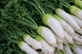 Món ngon từ củ cải khi mùa đông về