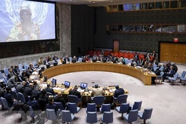 Việt Nam đề cao vai trò luật pháp của quốc tế với an ninh, hòa bình 