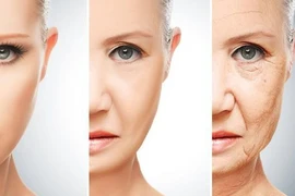 Những tác động tiêu cực đến quá trình lão hóa 