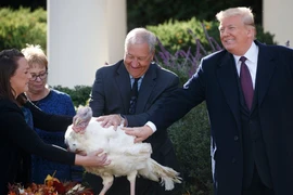 Những điều ông Donald Trump thích nhất khi làm Tổng thống Mỹ