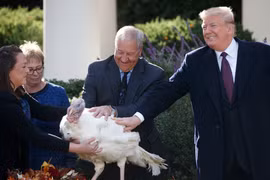 Những điều ông Donald Trump thích nhất khi làm Tổng thống Mỹ