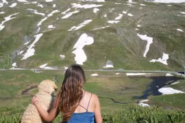 Bỏ việc để đi du lịch cùng... cún cưng